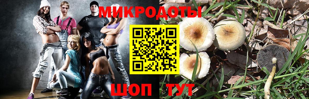 купить наркоту  Псилоцибиновые грибы MAGIC MUSHROOMS  Вход с VPN  Зима 