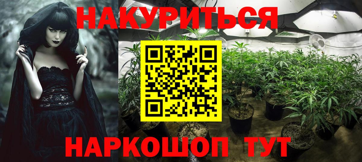 Каннабис White Widow  Бошки Шишки AK-47  Зима  Вход с VPN  Конопля Amnesia  МАРИХУАНА марихуана 